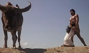 Botol bau video lucah awek indon