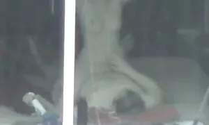 Cuba dua video lucah awek sekolah pria di tenggorokan.