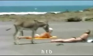 Bawa dia ke taman dan dimasukkan ke mulutnya pada oh lucah melayu kamera.